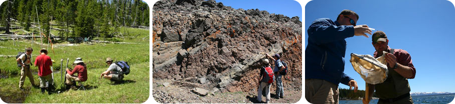 Various fieldwork sites