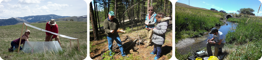 Students in Field