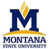 MSU logo